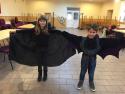 Tekvicový festival 28. 10. 2016 Tekvicový festival 28. 10. 2016
